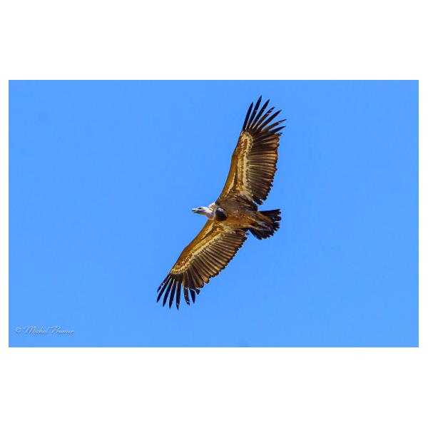 PHOTO84, CLUB, 84 , LUBERON